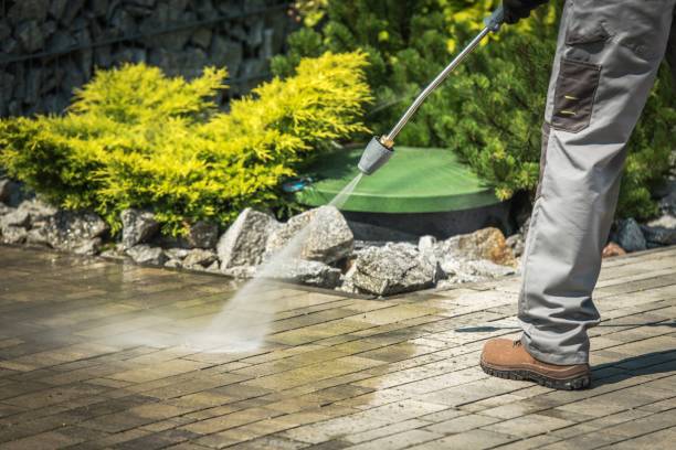 Best Soft Washing  in Harrison, WI