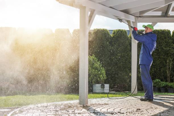 Best Pre-Holiday Cleaning  in Harrison, WI
